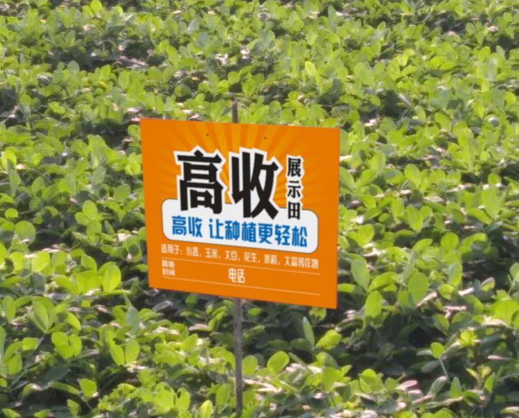 网页版- 阿尔特塔轮换策略收奇效  